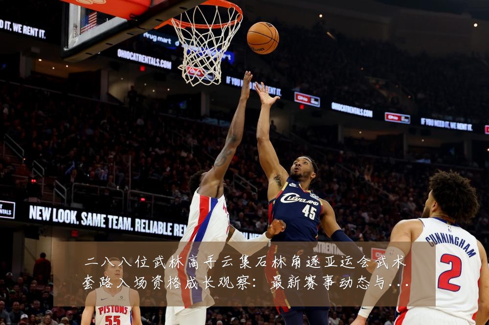 二八八位武林高手云集石林角逐亚运会武术套路入场资格成长观察:最新赛事动态与深度分析