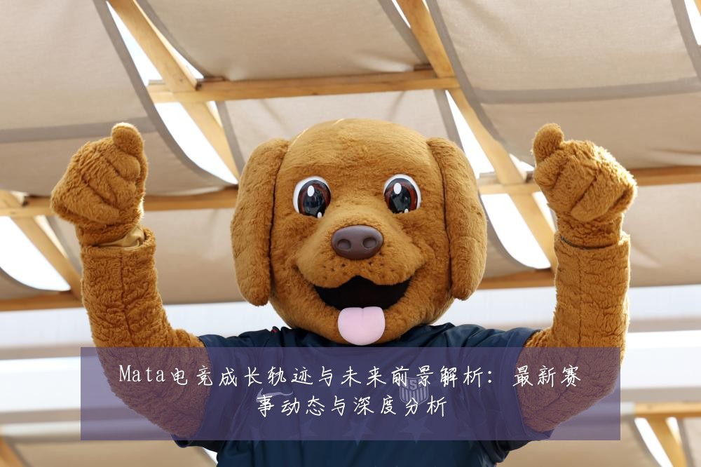 Mata电竞成长轨迹与未来前景解析:最新赛事动态与深度分析